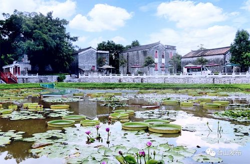 百千万工程丨台城街道 提质进位,跑出高质量发展 加速度