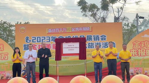 江门开平市金鸡镇美丽乡村文化旅游活动开幕 万人共享新年喜乐